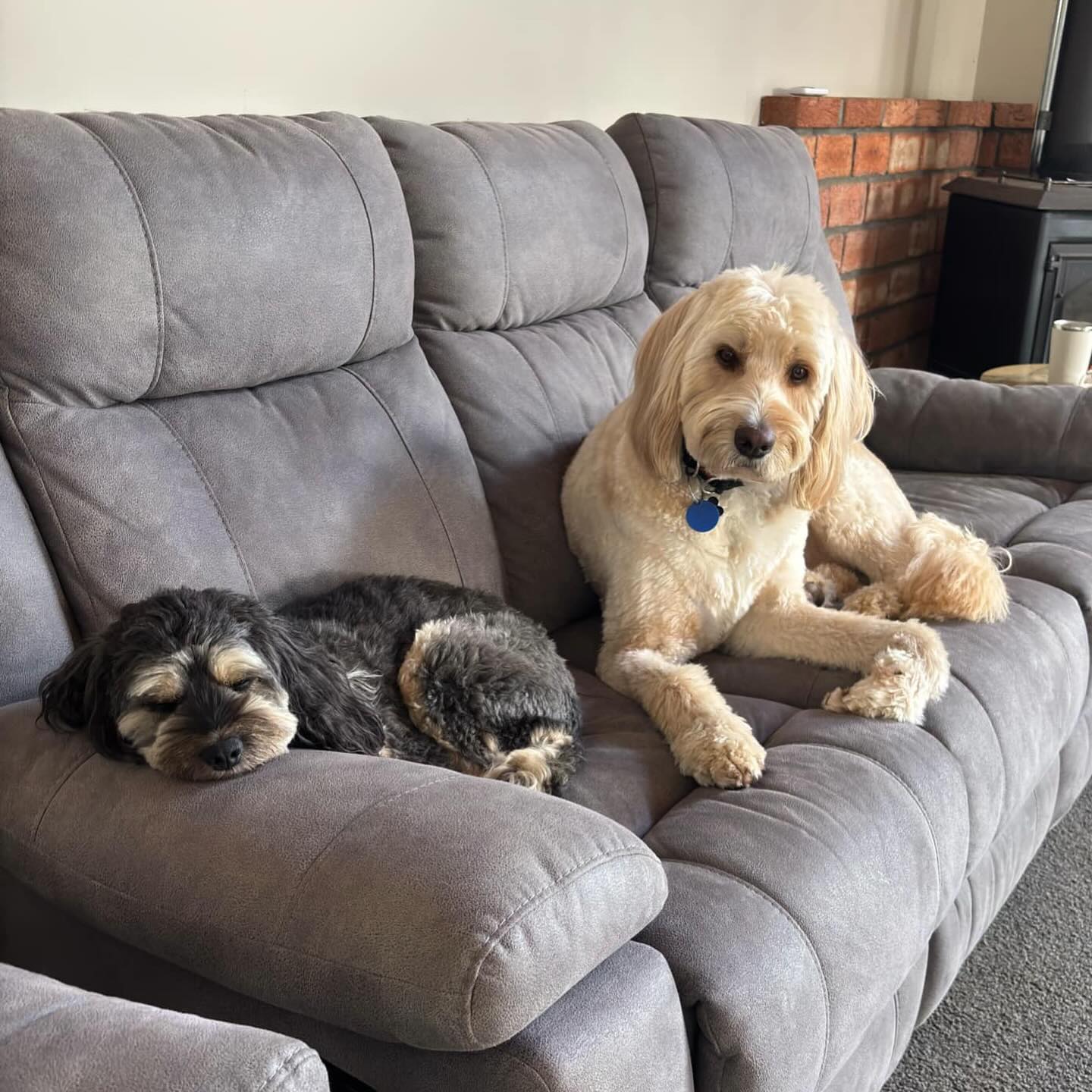Nap time and quiet relaxation inside the luxury farmhouse lodging suite