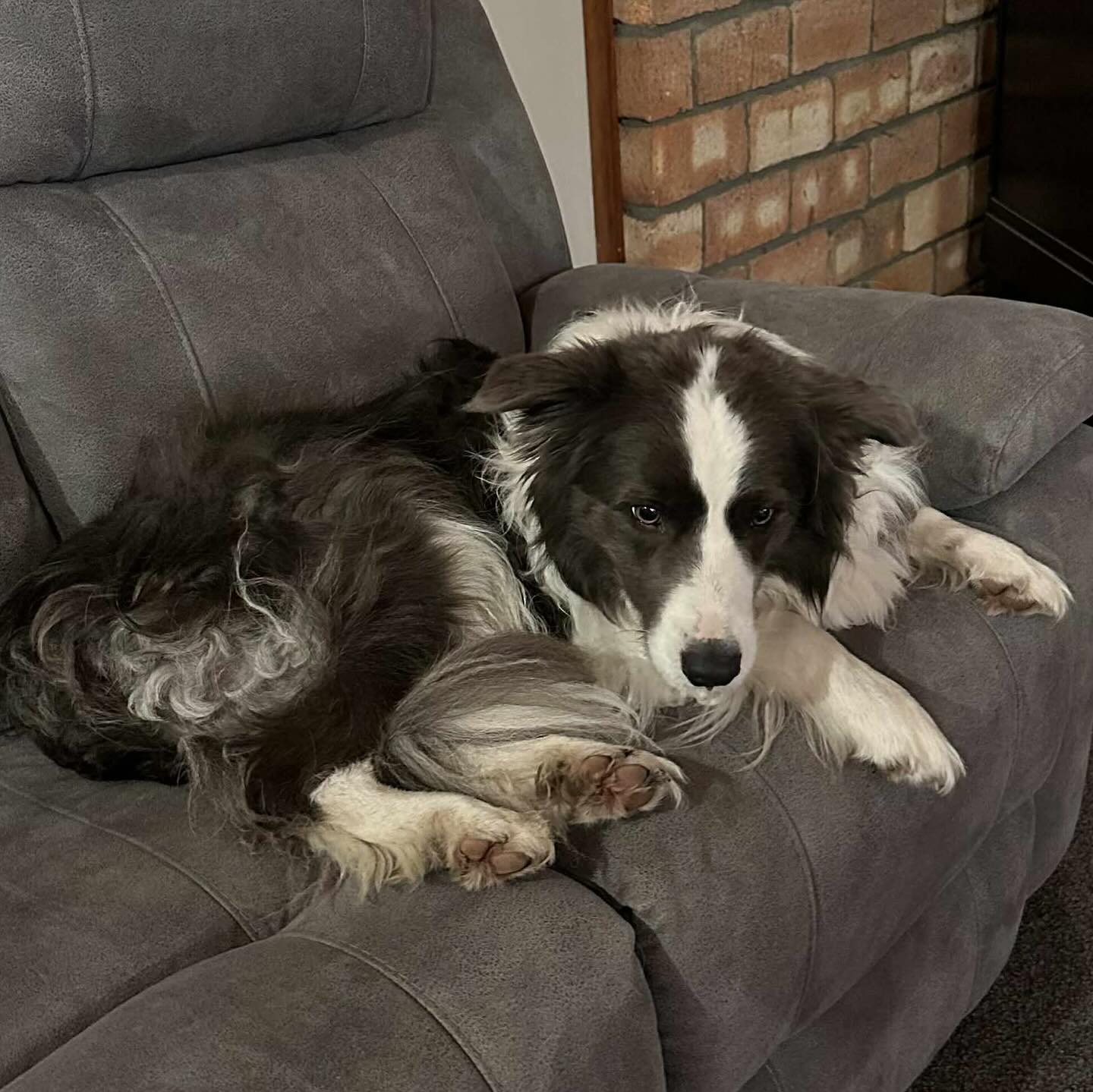 Cosy farmhouse sofa lodging
