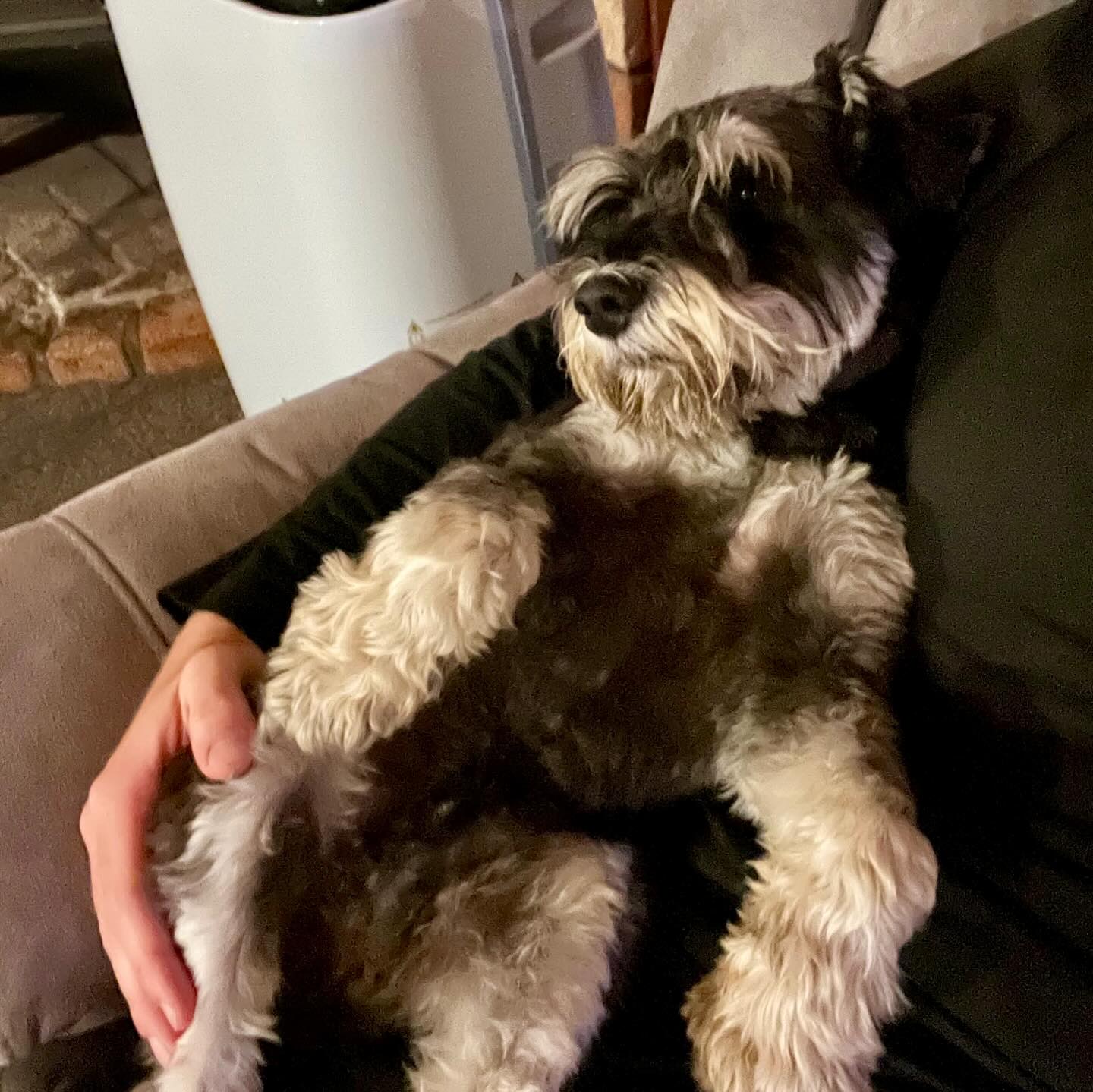Permanent team member providing 24/7 care and attention